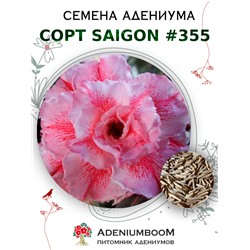 Адениум Тучный от SAIGON ADENIUM № 355   (2 сем)