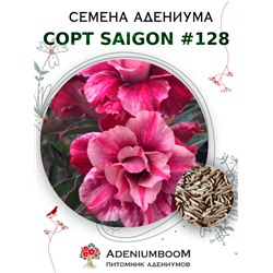 Адениум Тучный от SAIGON ADENIUM № 128   (2 сем)