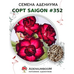 Адениум Тучный от SAIGON ADENIUM № 352   (2 сем)