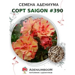Адениум Тучный от SAIGON ADENIUM № 390   (2 сем)
