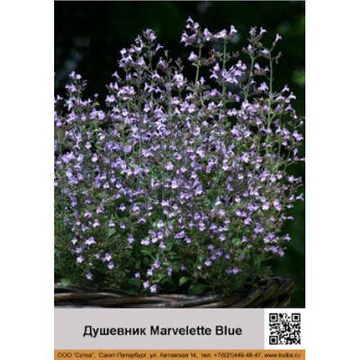 Душевик Marvelette Blue