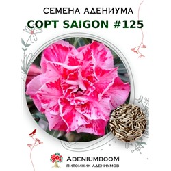 Адениум Тучный от SAIGON ADENIUM № 125   (2 сем)
