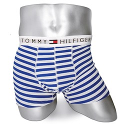 Мужские боксеры Tommy Hilfiger белые в голубую полоску T20