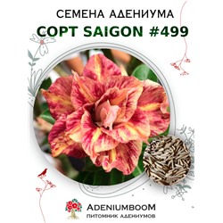 Адениум Тучный от SAIGON ADENIUM № 499   (2 сем)