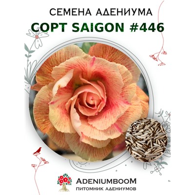 Адениум Тучный от SAIGON ADENIUM № 446