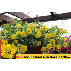 85 Калибрахоа Mini Famous Neo Double Yellow