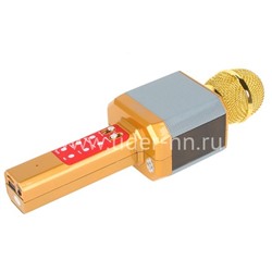 Колонка-микрофон (WS-1828) Bluetooth/USB/micro SD/LED/караоке/меняет голос (золото)
