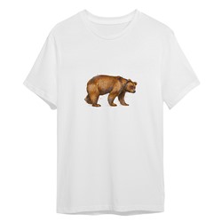 FTW0435-L Футболка Медведь на прогулке, размер L