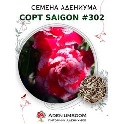 Адениум Тучный от SAIGON ADENIUM № 302  (2 сем)
