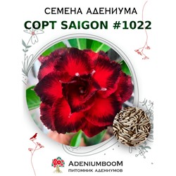 Адениум Тучный от SAIGON ADENIUM № 1022