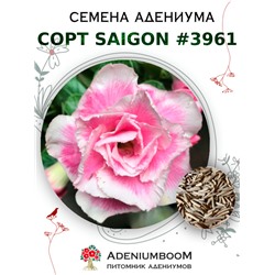 Адениум Тучный от SAIGON ADENIUM № 3961  (2 сем)
