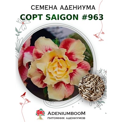 Адениум Тучный от SAIGON ADENIUM № 963