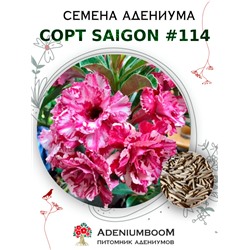 Адениум Тучный от SAIGON ADENIUM № 114   (2 сем)