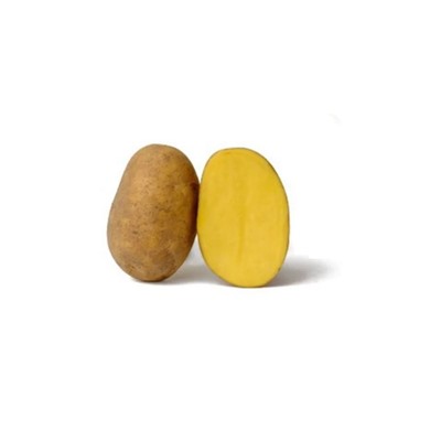 Картофель Зекура Элита белоклубневый раннеспелый сетка 35 +/- 1кг (Тюмень) (цена за 5 кг)