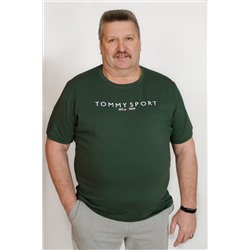 Мужская футболка 16020