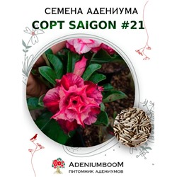 Адениум Тучный от SAIGON ADENIUM № 21   (2 сем)