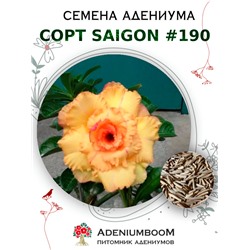 Адениум Тучный от SAIGON ADENIUM № 190   (2 сем)