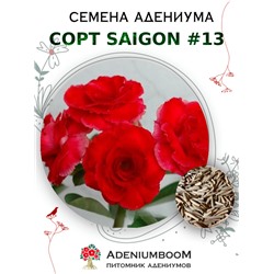 Адениум Тучный от SAIGON ADENIUM № 13   (2 сем)