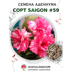 Адениум Тучный от SAIGON ADENIUM № 59   (2 сем)