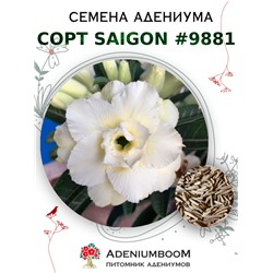 Адениум Тучный от SAIGON ADENIUM № 9881  (2 сем)