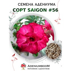 Адениум Тучный от SAIGON ADENIUM № 56   (2 сем)