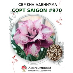 Адениум Тучный от SAIGON ADENIUM № 970  (2 сем)