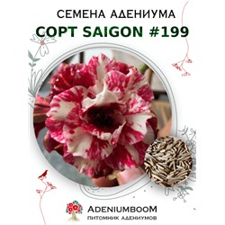 Адениум Тучный от SAIGON ADENIUM № 199   (2 сем)