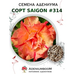 Адениум Тучный от SAIGON ADENIUM № 314  (2 сем)