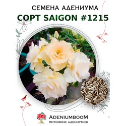 Адениум Тучный от SAIGON ADENIUM № 1215  (2 сем)