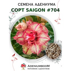 Адениум Тучный от SAIGON ADENIUM № 704   (2 сем)