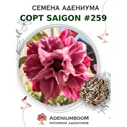 Адениум Тучный от SAIGON ADENIUM № 259   (2 сем)