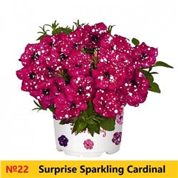 22 Петуния Surprise Sparkling Cardinal