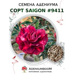 Адениум Тучный от SAIGON ADENIUM № 9411  (2 сем)