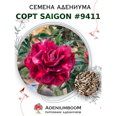 Адениум Тучный от SAIGON ADENIUM № 9411