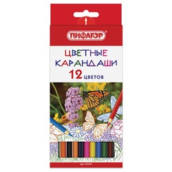 Карандаши цветные 12цв Пифагор "Бабочки" (8/24) арт.181351
