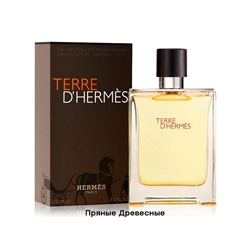 Hermes Terre Hermes, Edt, 100 ml
