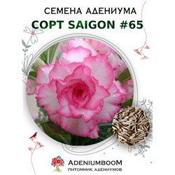 Адениум Тучный от SAIGON ADENIUM № 65   (2 сем)