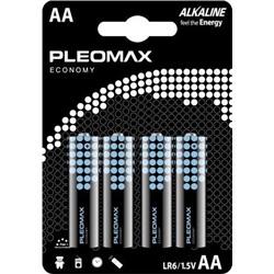 LR 6 Pleomax Economy 4xBL (40/400)