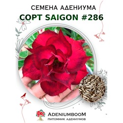 Адениум Тучный от SAIGON ADENIUM № 286   (2 сем)