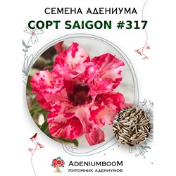 Адениум Тучный от SAIGON ADENIUM № 317  (2 сем)