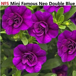 5 Калибрахоа Mini Famous Neo Double Blue