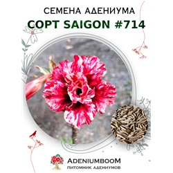Адениум Тучный от SAIGON ADENIUM № 714   (2 сем)