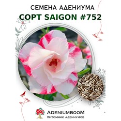 Адениум Тучный от SAIGON ADENIUM № 752  (2 сем)