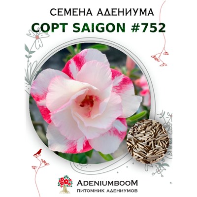 Адениум Тучный от SAIGON ADENIUM № 752