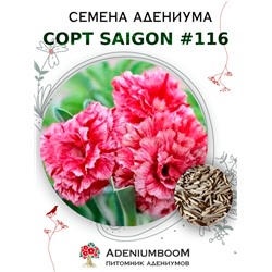 Адениум Тучный от SAIGON ADENIUM № 116   (2 сем)