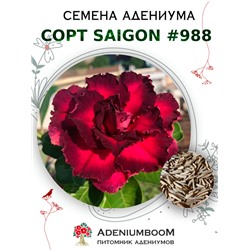 Адениум Тучный от SAIGON ADENIUM № 988  (2 сем)