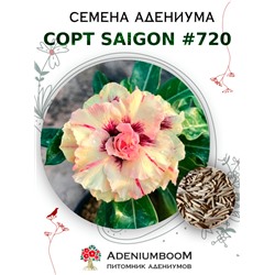 Адениум Тучный от SAIGON ADENIUM № 720   (2 сем)